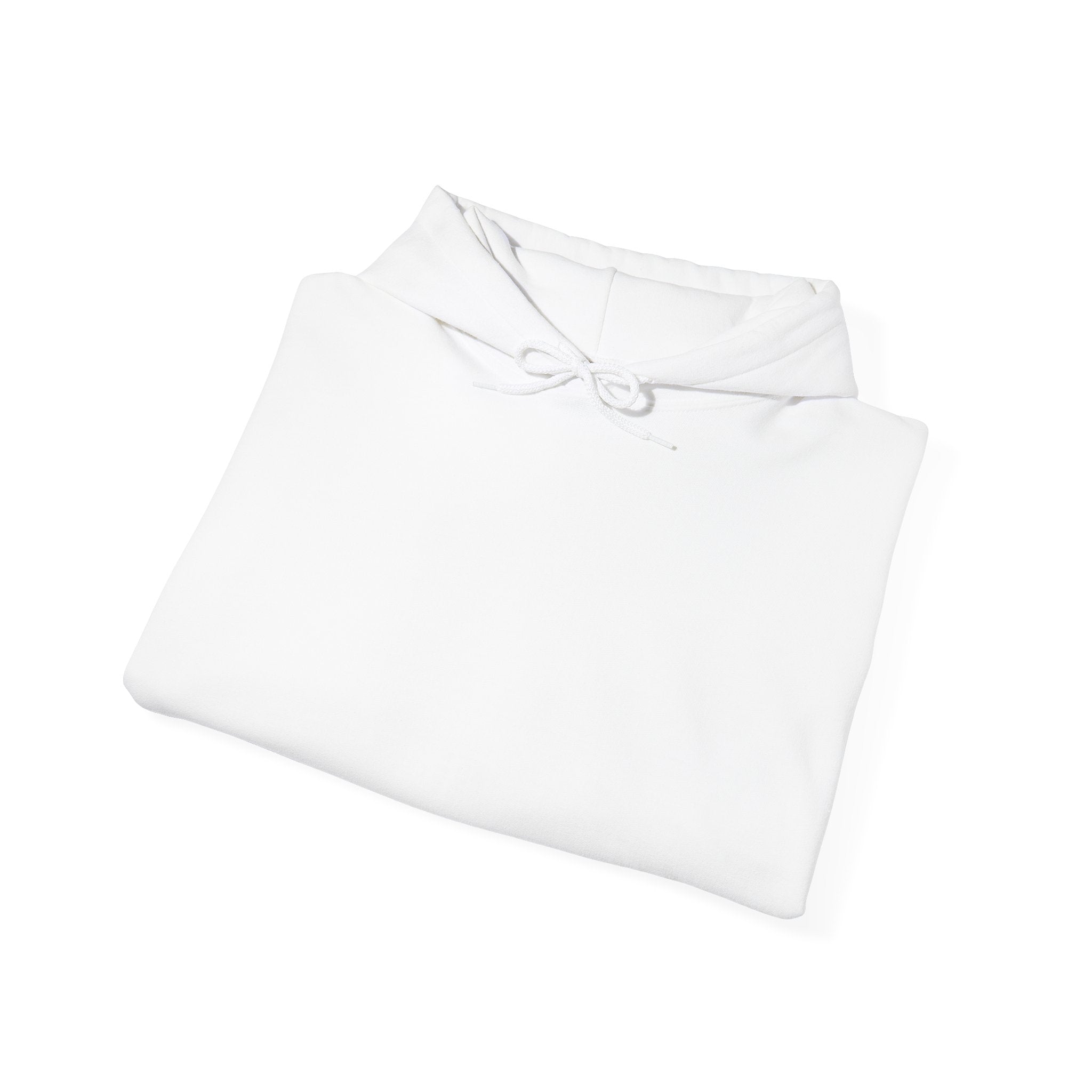 Hooded Sweatshirt Snowboarding Turtle Shakalaka Design